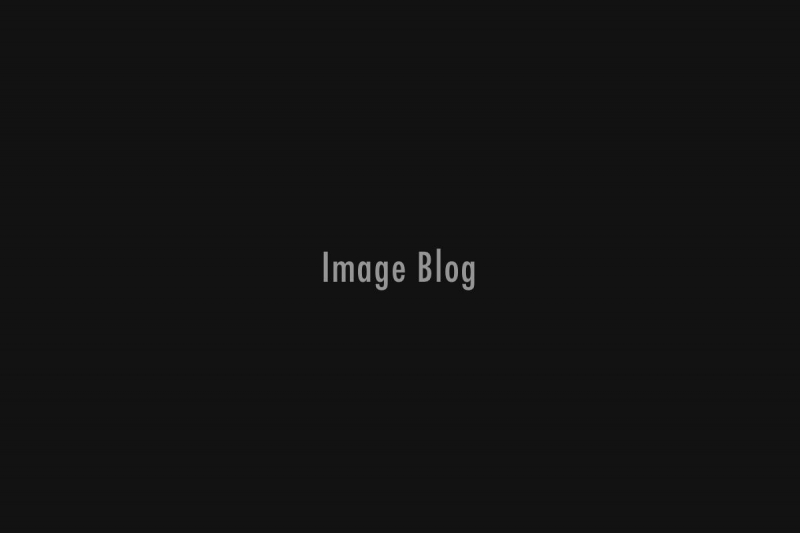 More Music on Horizon for Newport Jazz and Folk Fests Group